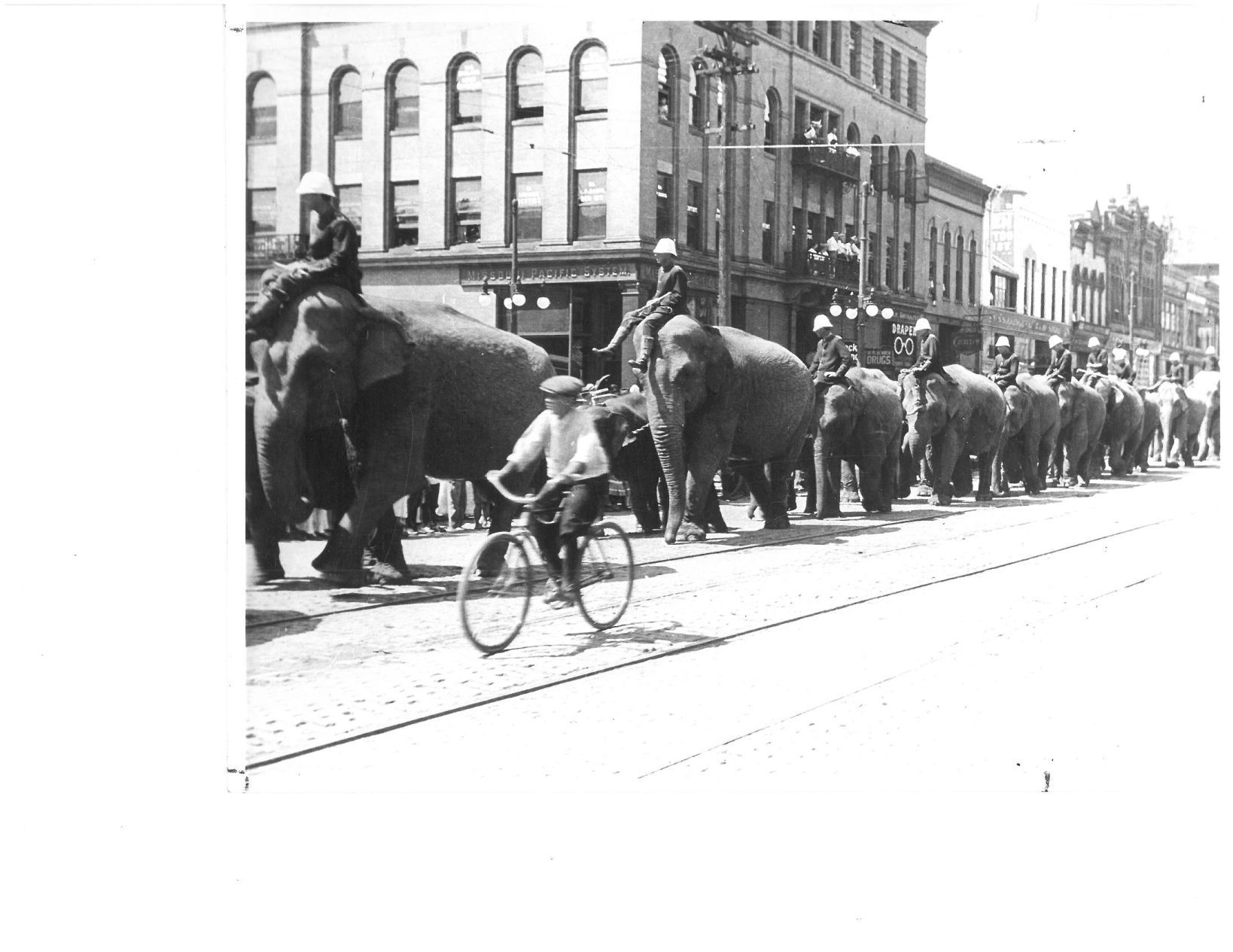 O Street Elephants